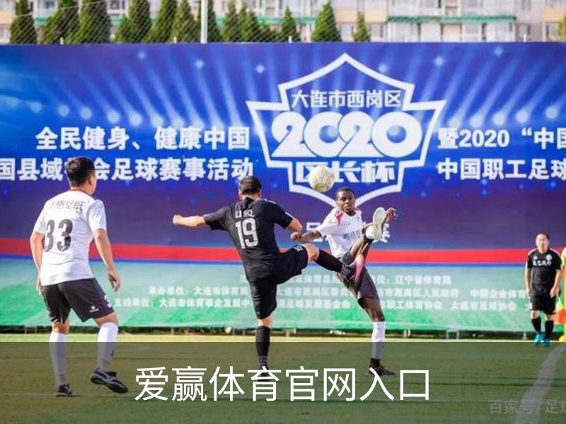 爱赢体育官网入口简介